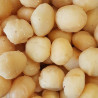 Macadamia noten 500g – Groot & ongebrand | Nuts4all