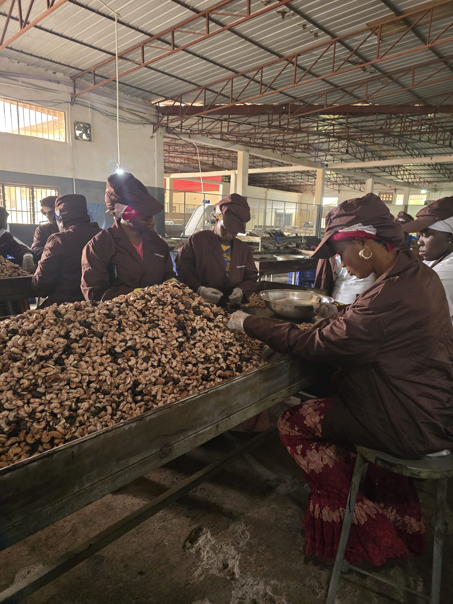 Sorteren van cashewnoten in West-Afrika